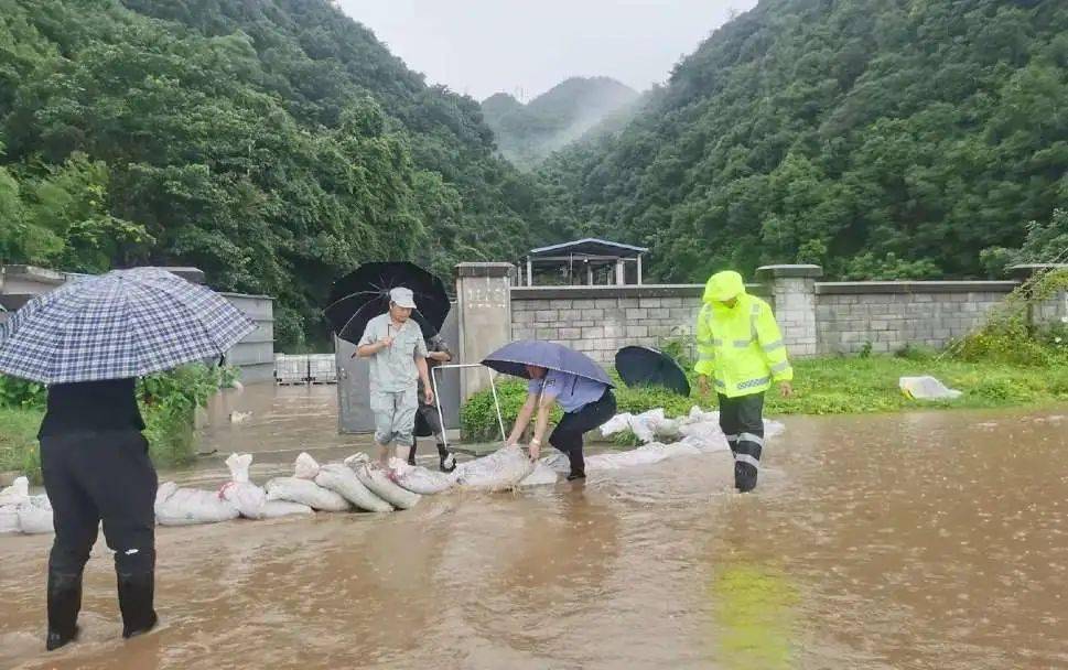 新安江防汛最新动态与策略解析