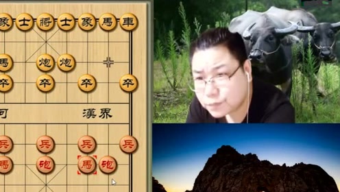 老雷输棋后的最新动态及其反思