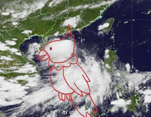 全球气候变化下的台风鹦鹉，警示与应对策略最新解读