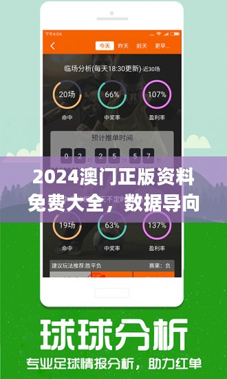 新澳2024今晚开奖资料,实地数据分析计划_影像版29.213